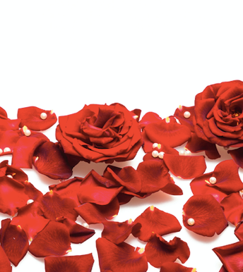 this valentine's day