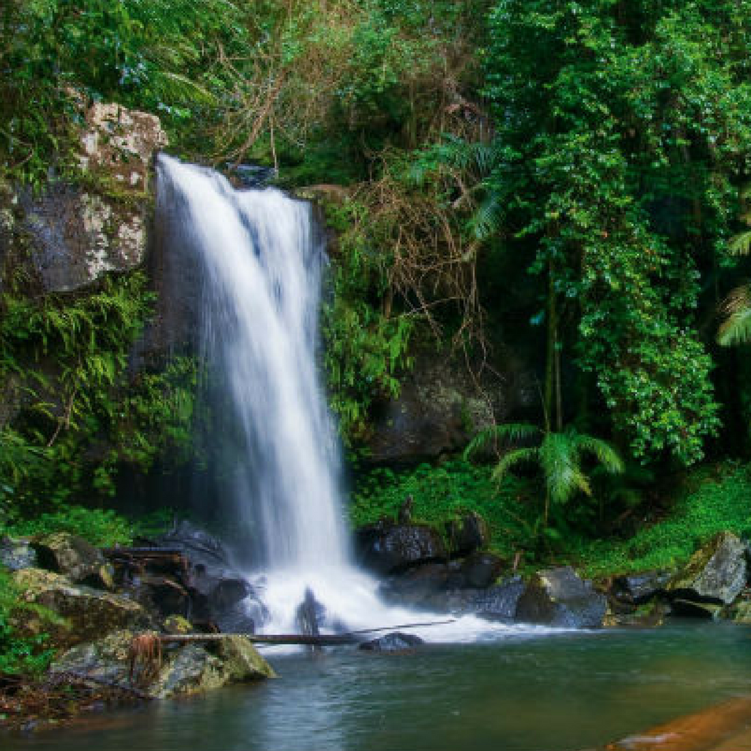 Brisbane Travel Guide