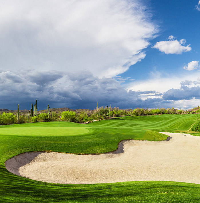 Cashmere on the course